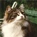 blandford-article-min.jpg